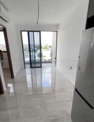 Affinity At Serangoon (D19), Apartment #458148791